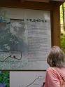 Kellerwald (25)